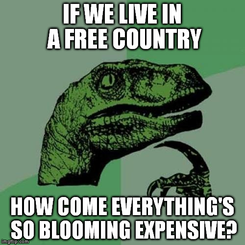 Philosoraptor | IF WE LIVE IN A FREE COUNTRY; HOW COME EVERYTHING'S SO BLOOMING EXPENSIVE? | image tagged in memes,philosoraptor | made w/ Imgflip meme maker