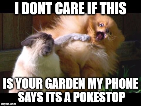 OMG Pokemon Go | I DONT CARE IF THIS; IS YOUR GARDEN MY PHONE SAYS ITS A POKESTOP | image tagged in omg pokemon go | made w/ Imgflip meme maker