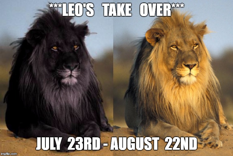 Leo's Take Over |  ***LEO'S   TAKE   OVER***; JULY  23RD - AUGUST  22ND | image tagged in leo,lions,july,july leos | made w/ Imgflip meme maker