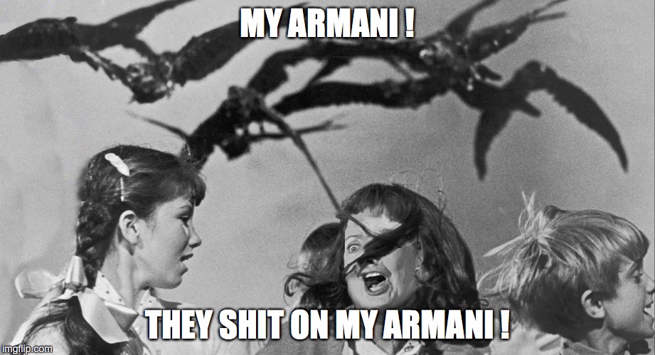 Life's a Bitch.  Now You Can Vote for One! | MY ARMANI ! THEY SHIT ON MY ARMANI ! | image tagged in hillary,clinton | made w/ Imgflip meme maker