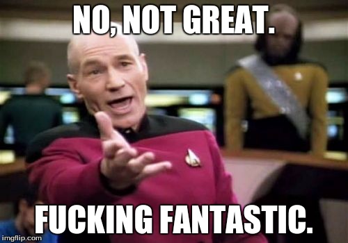 Picard Wtf Meme | NO, NOT GREAT. F**KING FANTASTIC. | image tagged in memes,picard wtf | made w/ Imgflip meme maker