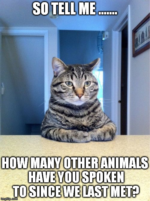 Take A Seat Cat | SO TELL ME ....... HOW MANY OTHER ANIMALS HAVE YOU SPOKEN TO SINCE WE LAST MET? | image tagged in memes,take a seat cat | made w/ Imgflip meme maker