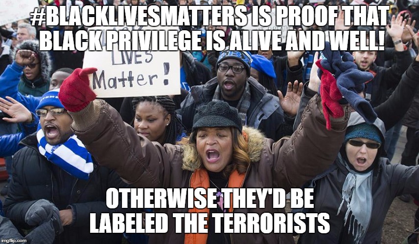 #BLACKLIVESMATTERS IS PROOF THAT BLACK PRIVILEGE IS ALIVE AND WELL! OTHERWISE THEY'D BE LABELED THE TERRORISTS | image tagged in The_Donald | made w/ Imgflip meme maker