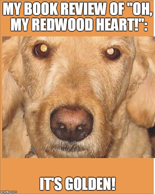 MY BOOK REVIEW OF "OH, MY REDWOOD HEART!":; IT'S GOLDEN! | image tagged in pj | made w/ Imgflip meme maker