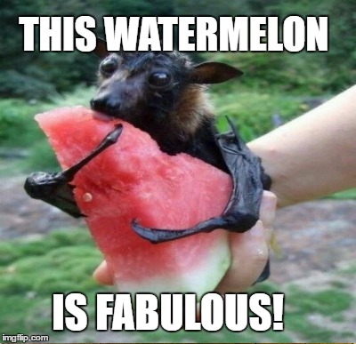 THIS WATERMELON IS FABULOUS! | made w/ Imgflip meme maker