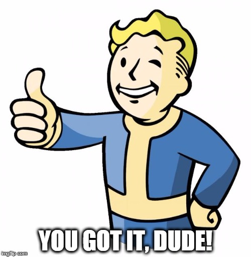 Fallout meets Full House | YOU GOT IT, DUDE! | image tagged in fallout thumb up,memes,full house,michelle,you got it dude,fallout | made w/ Imgflip meme maker
