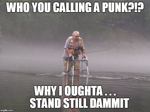 WHO YOU CALLING A PUNK?!? WHY I OUGHTA . . .    STAND STILL DAMMIT | made w/ Imgflip meme maker