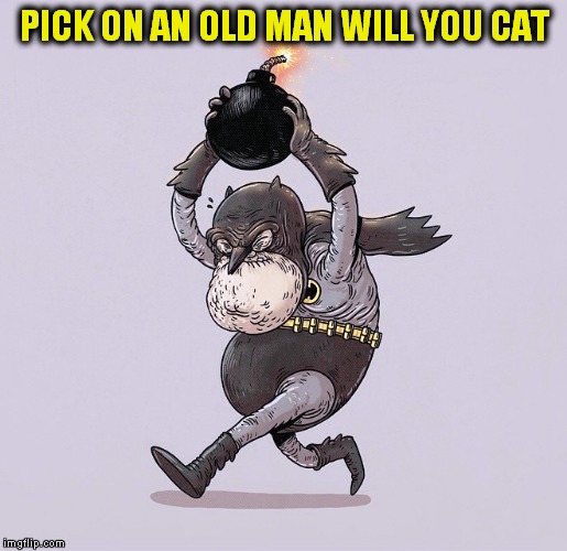 PICK ON AN OLD MAN WILL YOU CAT | made w/ Imgflip meme maker