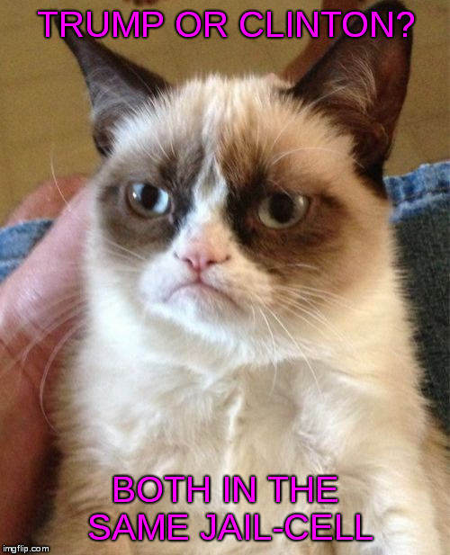 Grumpy Cat votes in 2016 | TRUMP OR CLINTON? BOTH IN THE SAME JAIL-CELL | image tagged in memes,grumpy cat,vote,trump,clinton | made w/ Imgflip meme maker