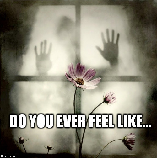 On the outside looking in. | DO YOU EVER FEEL LIKE... | image tagged in on the outside looking in | made w/ Imgflip meme maker