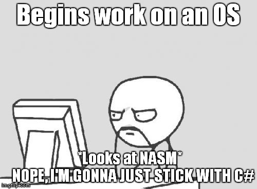 Me the past couple days | Begins work on an OS; *Looks at NASM*         NOPE, I'M GONNA JUST STICK WITH C# | image tagged in memes,computer guy,programming,irrelevent tag | made w/ Imgflip meme maker