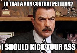 Tom Selleck | IS THAT A GUN CONTROL PETITION? I SHOULD KICK YOUR ASS | image tagged in tom selleck | made w/ Imgflip meme maker