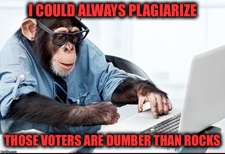 Duh! Work Smarter | I COULD ALWAYS PLAGIARIZE; THOSE VOTERS ARE DUMBER THAN ROCKS | image tagged in computer whiz | made w/ Imgflip meme maker