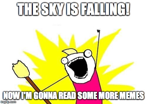 X All The Y | THE SKY IS FALLING! NOW I'M GONNA READ SOME MORE MEMES | image tagged in memes,x all the y | made w/ Imgflip meme maker