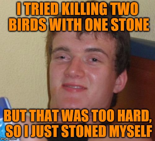 10 Guy Meme | I TRIED KILLING TWO BIRDS WITH ONE STONE; BUT THAT WAS TOO HARD, SO I JUST STONED MYSELF | image tagged in memes,10 guy | made w/ Imgflip meme maker