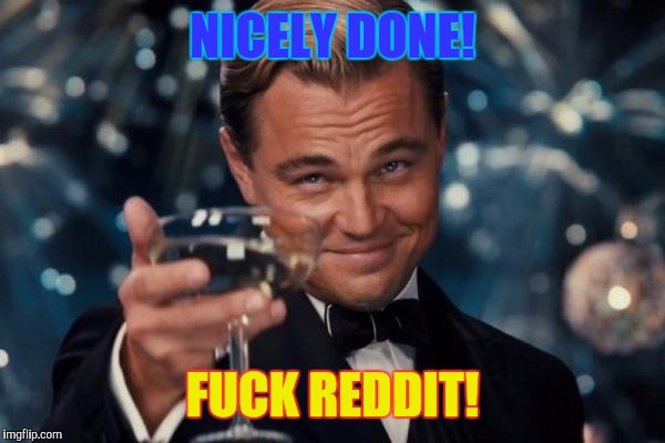 Leonardo Dicaprio Cheers Meme | NICELY DONE! F**K REDDIT! | image tagged in memes,leonardo dicaprio cheers | made w/ Imgflip meme maker