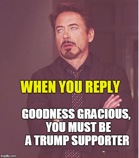 Face You Make Robert Downey Jr Meme | GOODNESS GRACIOUS,  YOU MUST BE A TRUMP SUPPORTER WHEN YOU REPLY | image tagged in memes,face you make robert downey jr | made w/ Imgflip meme maker