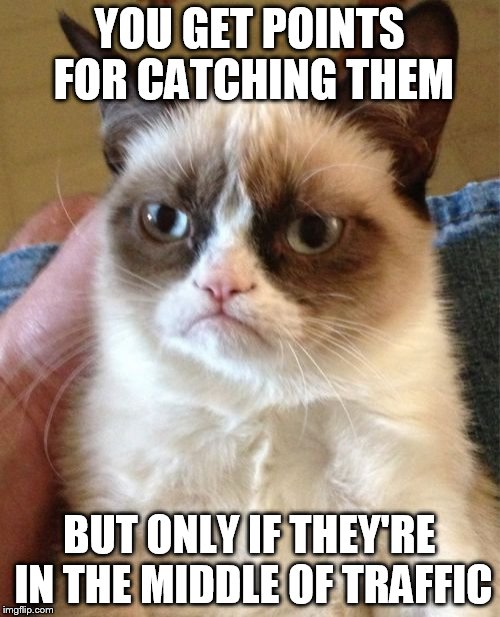 Grumpy Cat Meme | YOU GET POINTS FOR CATCHING THEM BUT ONLY IF THEY'RE IN THE MIDDLE OF TRAFFIC | image tagged in memes,grumpy cat | made w/ Imgflip meme maker