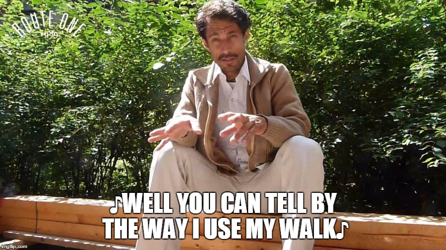 ♪WELL YOU CAN TELL BY THE WAY I USE MY WALK♪ | made w/ Imgflip meme maker