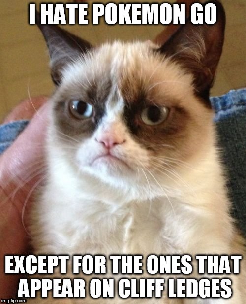 Gumpy Cat doesn't care how many you catch. | I HATE POKEMON GO; EXCEPT FOR THE ONES THAT APPEAR ON CLIFF LEDGES | image tagged in memes,grumpy cat,pokemon go,walk off a cliff | made w/ Imgflip meme maker
