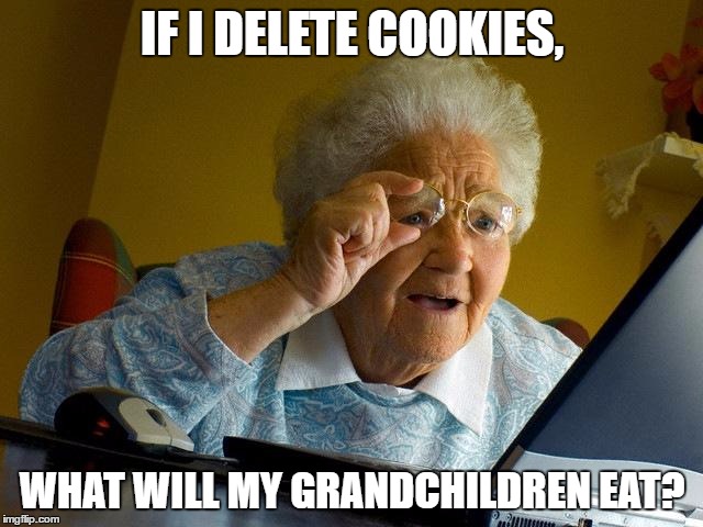 Grandma Finds The Internet | IF I DELETE COOKIES, WHAT WILL MY GRANDCHILDREN EAT? | image tagged in memes,grandma finds the internet | made w/ Imgflip meme maker