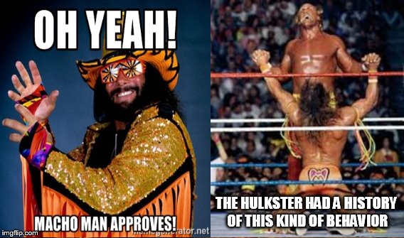 THE HULKSTER HAD A HISTORY OF THIS KIND OF BEHAVIOR | made w/ Imgflip meme maker