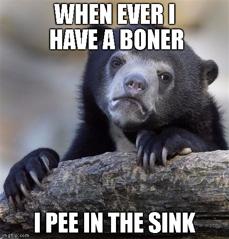 Confession Bear | WHEN EVER I HAVE A BONER; I PEE IN THE SINK | image tagged in memes,confession bear | made w/ Imgflip meme maker