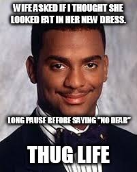 Thug Life | WIFE ASKED IF I THOUGHT SHE LOOKED FAT IN HER NEW DRESS. LONG PAUSE BEFORE SAYING "NO DEAR"; THUG LIFE | image tagged in thug life | made w/ Imgflip meme maker