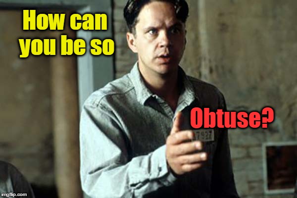 How can you be so obtuse? | How can you be so; Obtuse? | image tagged in the shawshank redemption | made w/ Imgflip meme maker