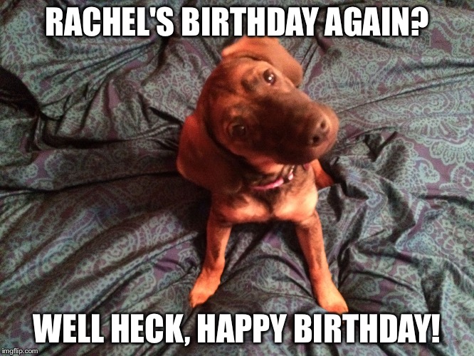 Missy What? | RACHEL'S BIRTHDAY AGAIN? WELL HECK, HAPPY BIRTHDAY! | image tagged in missy what | made w/ Imgflip meme maker