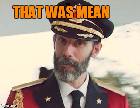 Captain Obvious | THAT WAS MEAN | image tagged in captain obvious | made w/ Imgflip meme maker