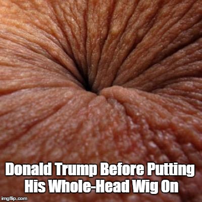 Donald Trump Before Putting His Whole-Head Wig On | made w/ Imgflip meme maker