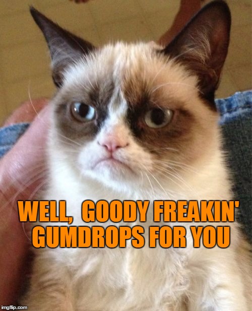 Grumpy Cat Meme | WELL,  GOODY FREAKIN' GUMDROPS FOR YOU | image tagged in memes,grumpy cat | made w/ Imgflip meme maker