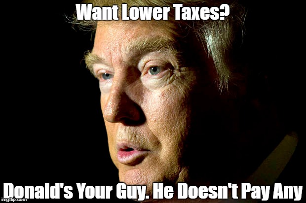 Want Lower Taxes? Donald's Your Guy. He Doesn't Pay Any | made w/ Imgflip meme maker