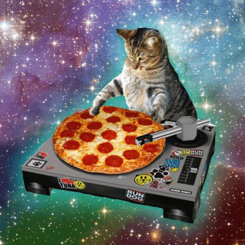 High Quality Space Cat Happy Birthday Blank Meme Template