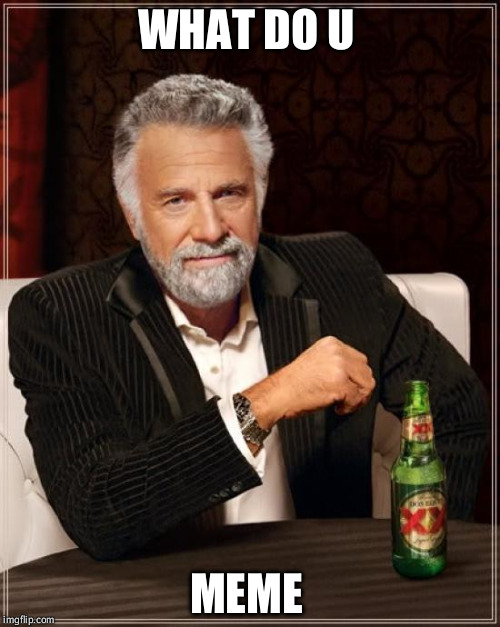 The Most Interesting Man In The World | WHAT DO U; MEME | image tagged in memes,the most interesting man in the world | made w/ Imgflip meme maker