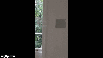 signII | image tagged in gifs | made w/ Imgflip video-to-gif maker