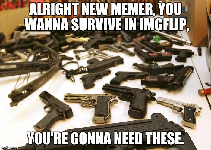 ALRIGHT NEW MEMER, YOU WANNA SURVIVE IN IMGFLIP, YOU'RE GONNA NEED THESE. | made w/ Imgflip meme maker