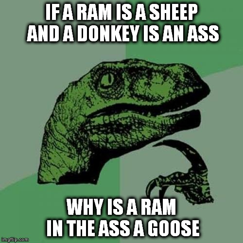 Philosoraptor | IF A RAM IS A SHEEP AND A DONKEY IS AN ASS; WHY IS A RAM IN THE ASS A GOOSE | image tagged in memes,philosoraptor | made w/ Imgflip meme maker