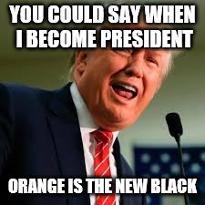 YOU COULD SAY WHEN I BECOME PRESIDENT; ORANGE IS THE NEW BLACK | image tagged in netflixorginal,trumpforprez,donthugmeimscared,mlp,furrys,spongeboob | made w/ Imgflip meme maker