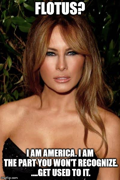 FLOTUS? I AM AMERICA. I AM THE PART YOU WON'T RECOGNIZE. ....GET USED TO IT. | image tagged in melania trump | made w/ Imgflip meme maker