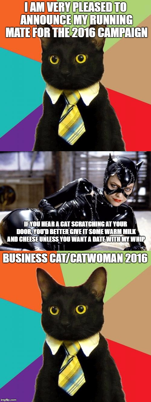 Business Cat Announces His Running Mate | I AM VERY PLEASED TO ANNOUNCE MY RUNNING MATE FOR THE 2016 CAMPAIGN; IF YOU HEAR A CAT SCRATCHING AT YOUR DOOR, YOU'D BETTER GIVE IT SOME WARM MILK AND CHEESE UNLESS YOU WANT A DATE WITH MY WHIP; BUSINESS CAT/CATWOMAN 2016 | image tagged in business cat,catwoman | made w/ Imgflip meme maker