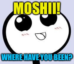 just cute | MOSHII! WHERE HAVE YOU BEEN? | image tagged in just cute | made w/ Imgflip meme maker