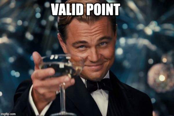 Leonardo Dicaprio Cheers Meme | VALID POINT | image tagged in memes,leonardo dicaprio cheers | made w/ Imgflip meme maker