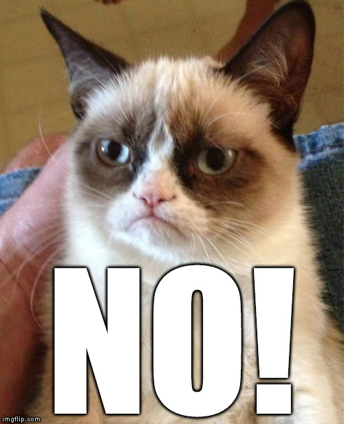 Grumpy Cat Meme | NO! | image tagged in memes,grumpy cat | made w/ Imgflip meme maker