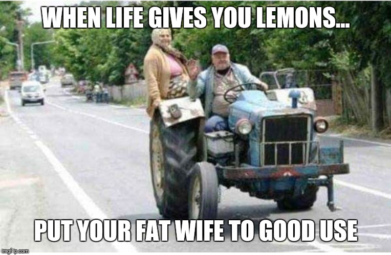 Untitled  | WHEN LIFE GIVES YOU LEMONS... PUT YOUR FAT WIFE TO GOOD USE | image tagged in funny memes,funny | made w/ Imgflip meme maker