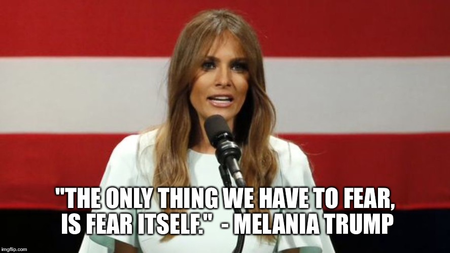 "THE ONLY THING WE HAVE TO FEAR, IS FEAR ITSELF."

- MELANIA TRUMP | image tagged in donald trump,trump | made w/ Imgflip meme maker