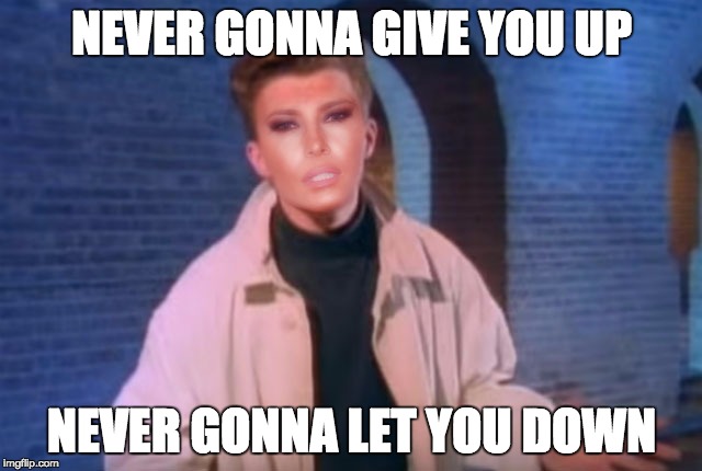 NEVER GONNA GIVE YOU UP; NEVER GONNA LET YOU DOWN | image tagged in never gonna give you upnever gonna let you down | made w/ Imgflip meme maker