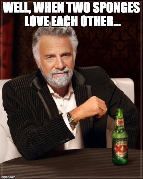 The Most Interesting Man In The World Meme | WELL, WHEN TWO SPONGES LOVE EACH OTHER... | image tagged in memes,the most interesting man in the world | made w/ Imgflip meme maker