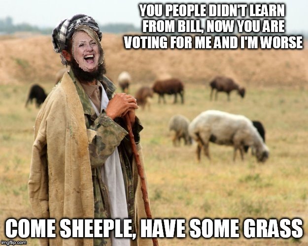 Hillary Sheep Herder | YOU PEOPLE DIDN'T LEARN FROM BILL, NOW YOU ARE VOTING FOR ME AND I'M WORSE COME SHEEPLE, HAVE SOME GRASS | image tagged in hillary sheep herder | made w/ Imgflip meme maker